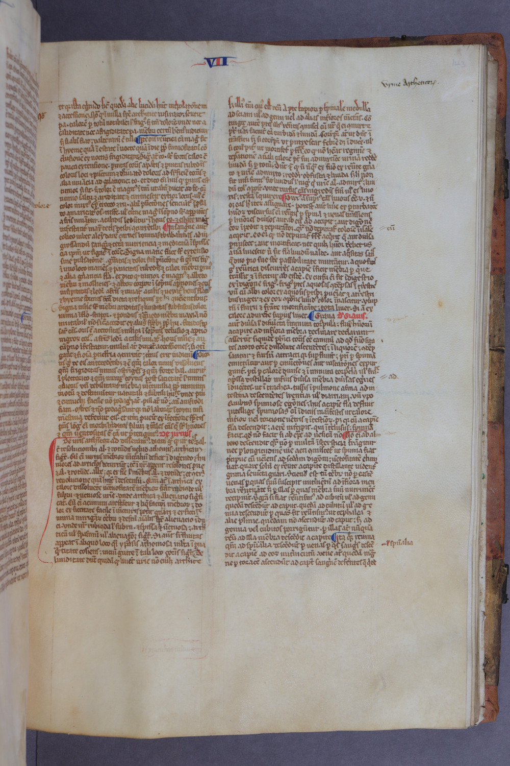 Folio 143 recto
